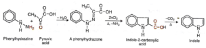 Synthesis of Indole/Preparation of Indole
