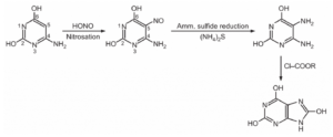 Synthesis of Purine/Preparation of Purine/Traube synthesis of Purine