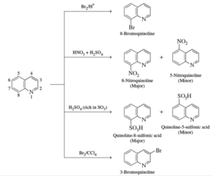 Electrophilic Substitution Reactions of Quinoline